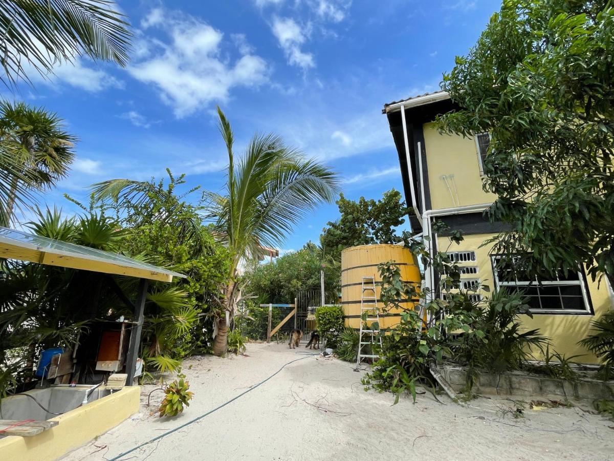 The Novelo Caye Caulker Exterior foto
