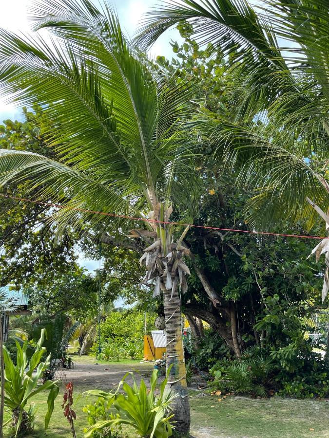 The Novelo Caye Caulker Exterior foto
