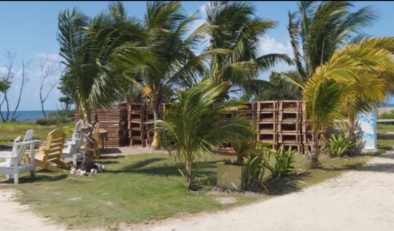 The Novelo Caye Caulker Exterior foto