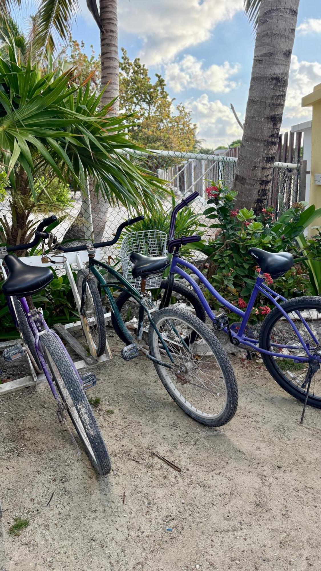The Novelo Caye Caulker Exterior foto